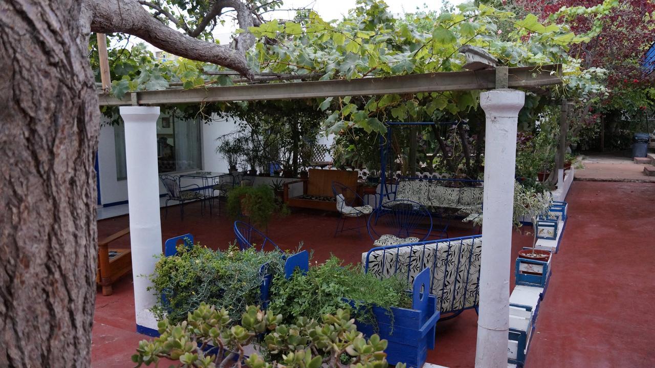 Copiapó Palace Hotel מראה חיצוני תמונה